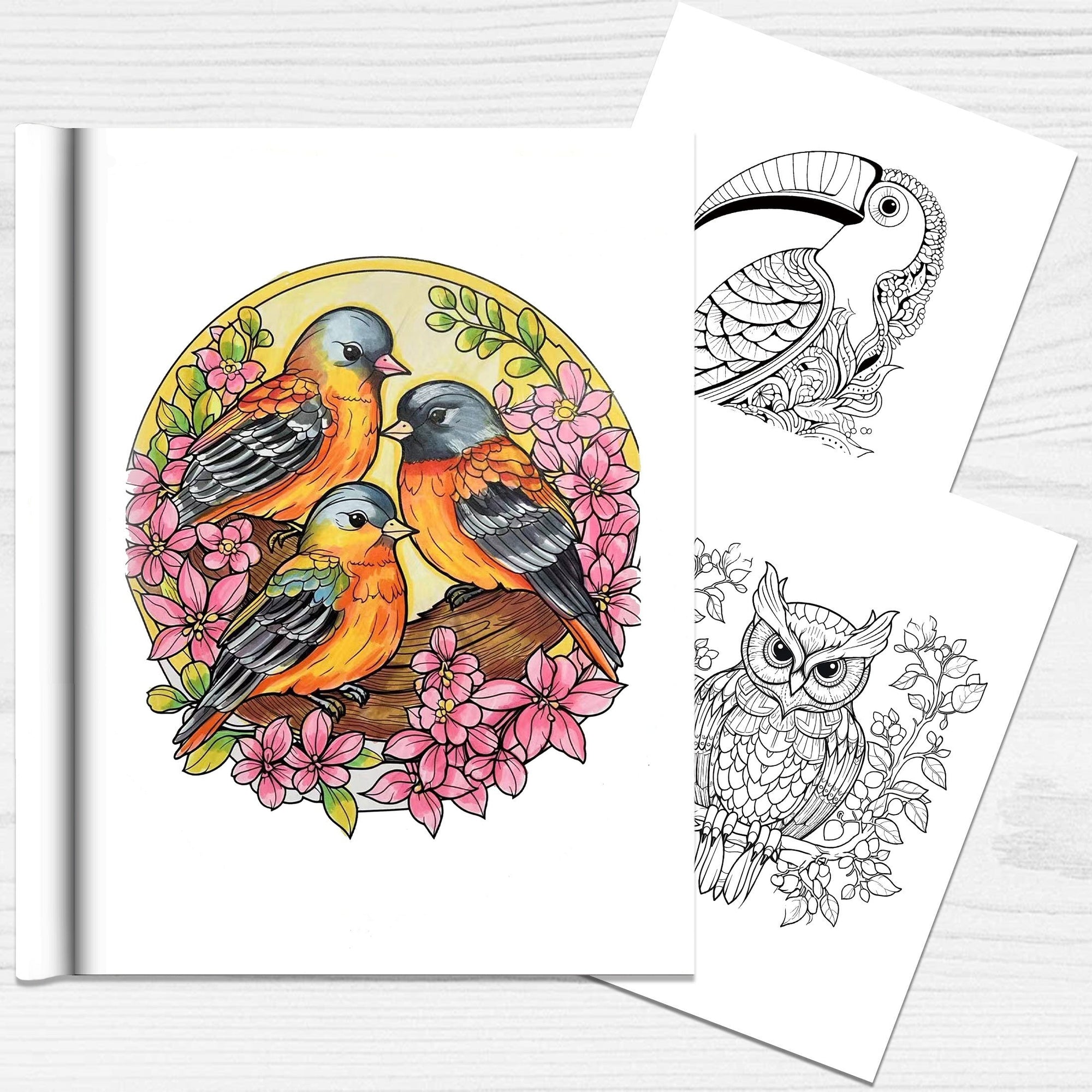 Set of 2 Coloring Book - Tree of Life & Birds Creative Coloring Book with Exquisite Patterns, Ideal Art for Birds Enthusiasts, Suitable for Adults and Teens, Markers Recommended